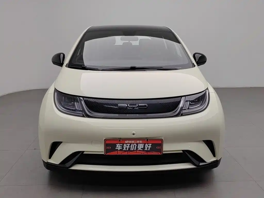 BYD Dolphin — миниатюра 3