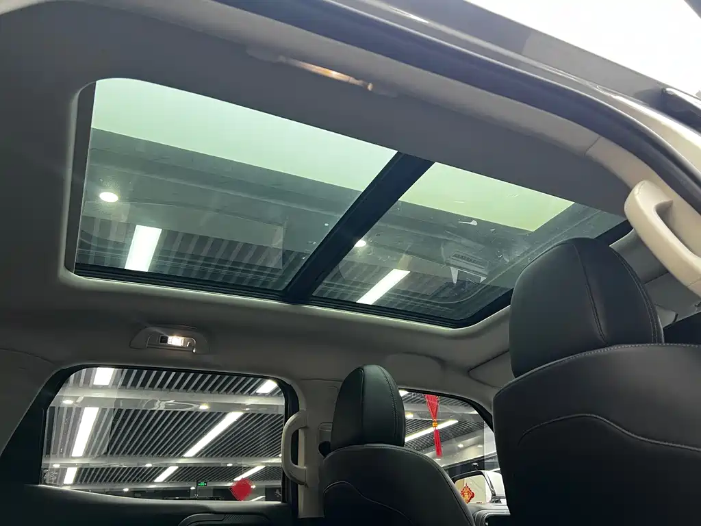 Haval Big Dog PLUS — миниатюра 25