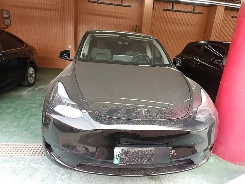 Tesla Model Y — миниатюра 3