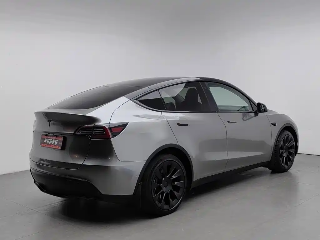 Tesla Model Y — миниатюра 2