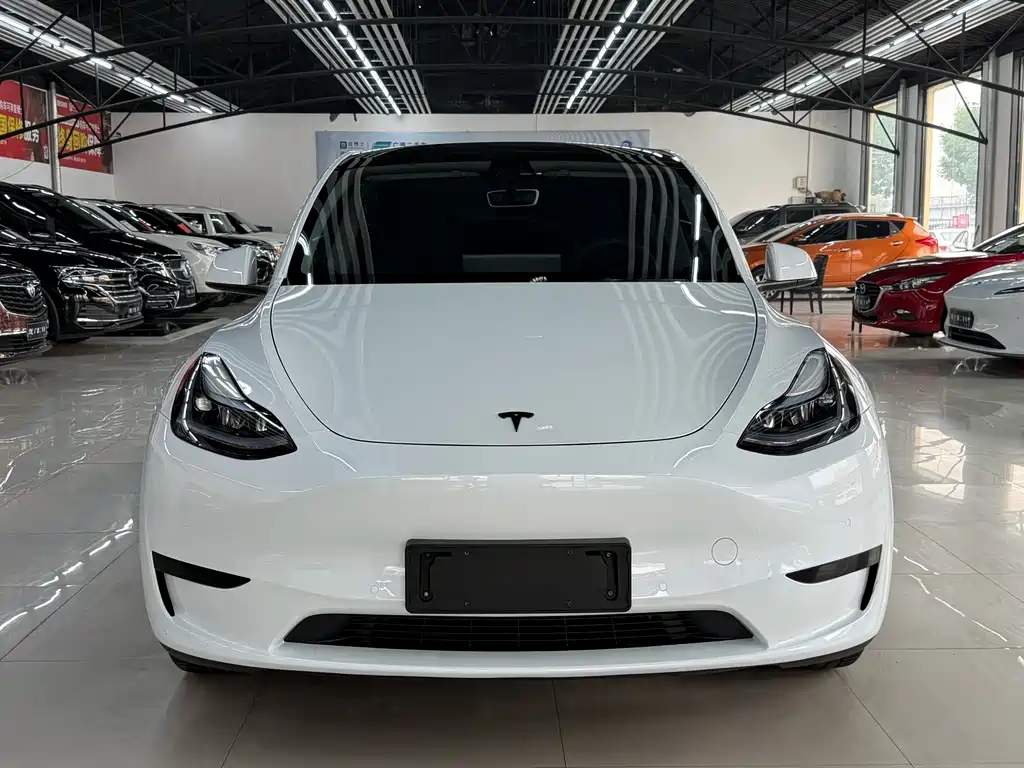 Tesla Model Y — миниатюра 2
