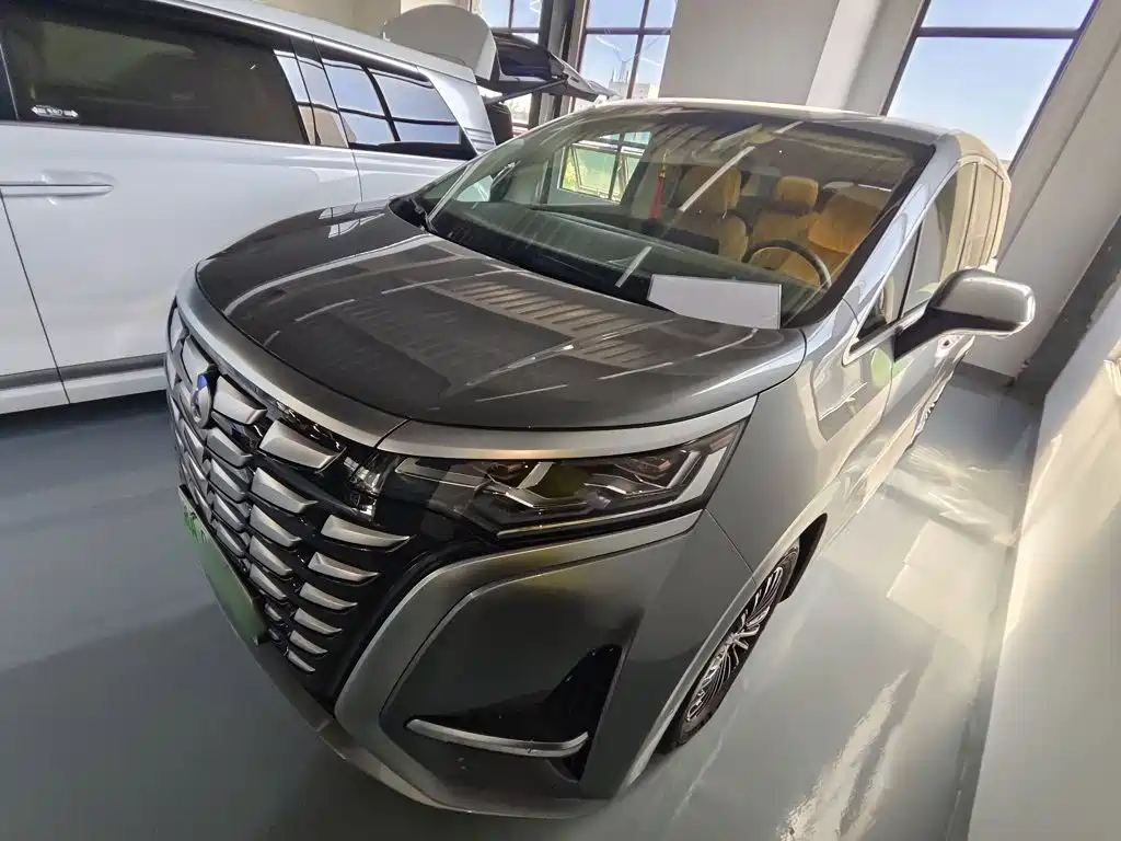 Denza Denza D9