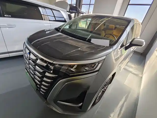2023 Denza D9