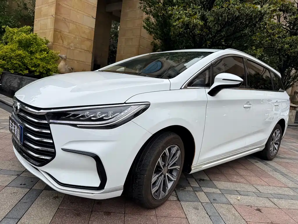 Byd MAX 2021