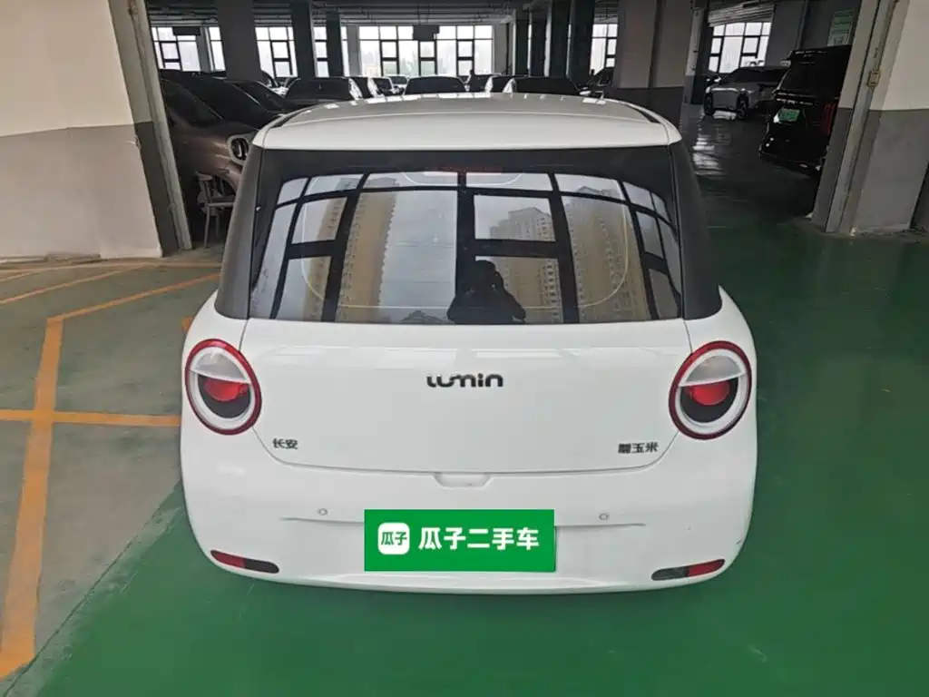 Qiyuan Lumin — миниатюра 6