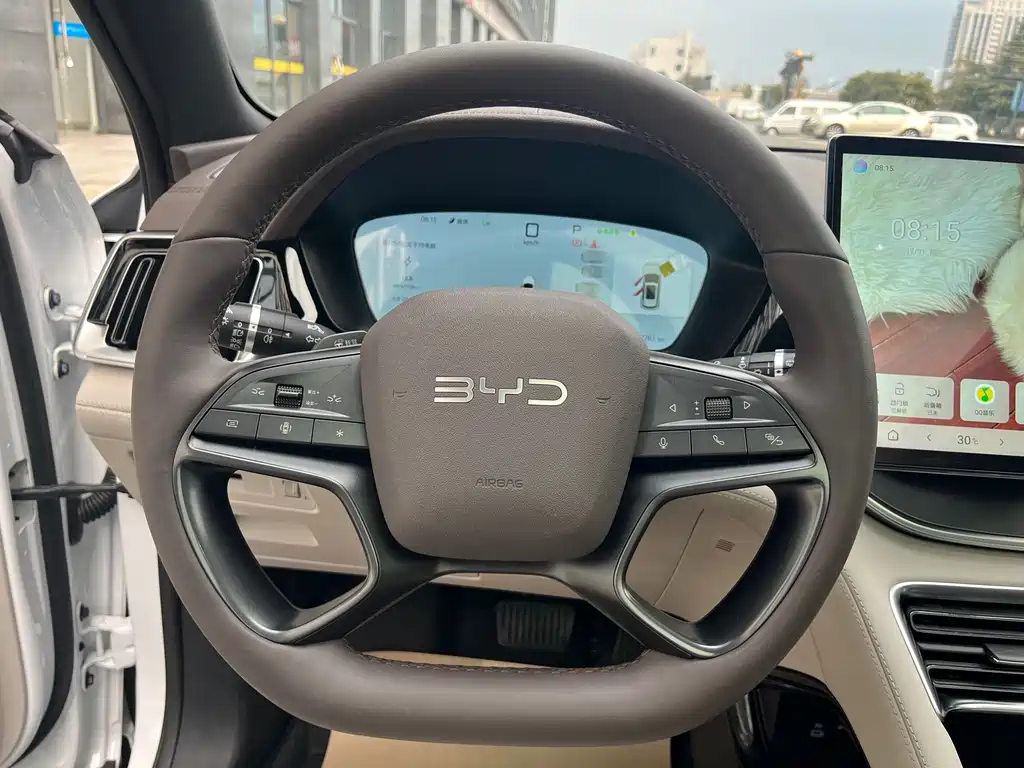 BYD SONGJIANG NEW ENERGY