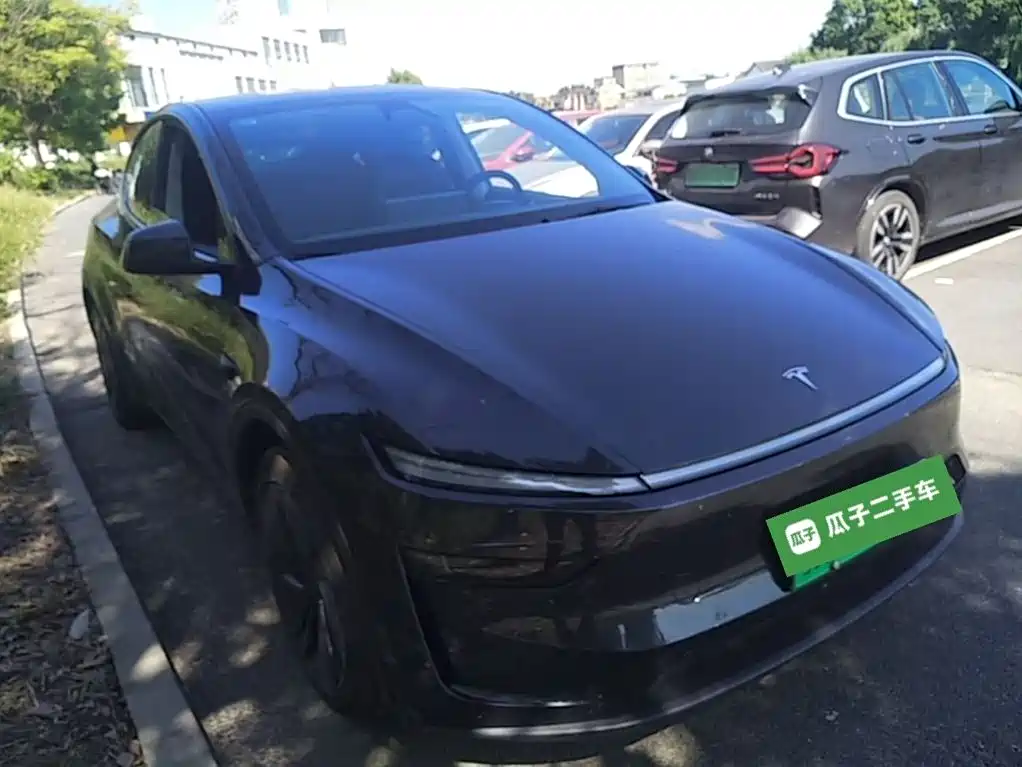 Tesla Model Y — миниатюра 4