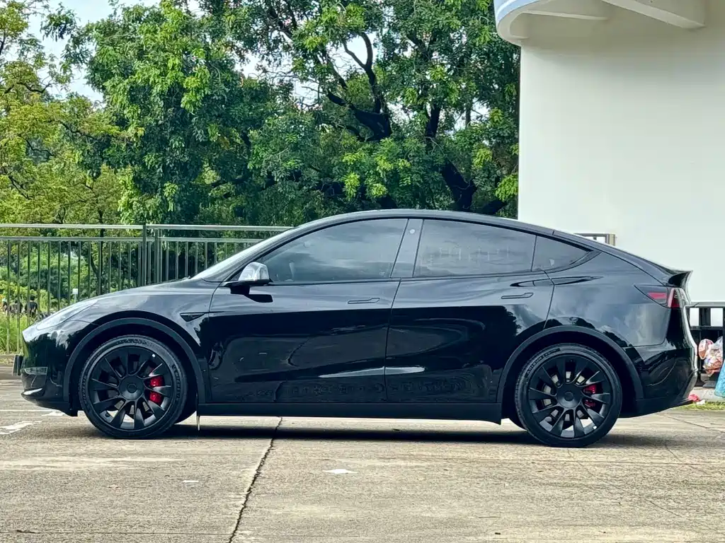 Tesla Model Y — миниатюра 4