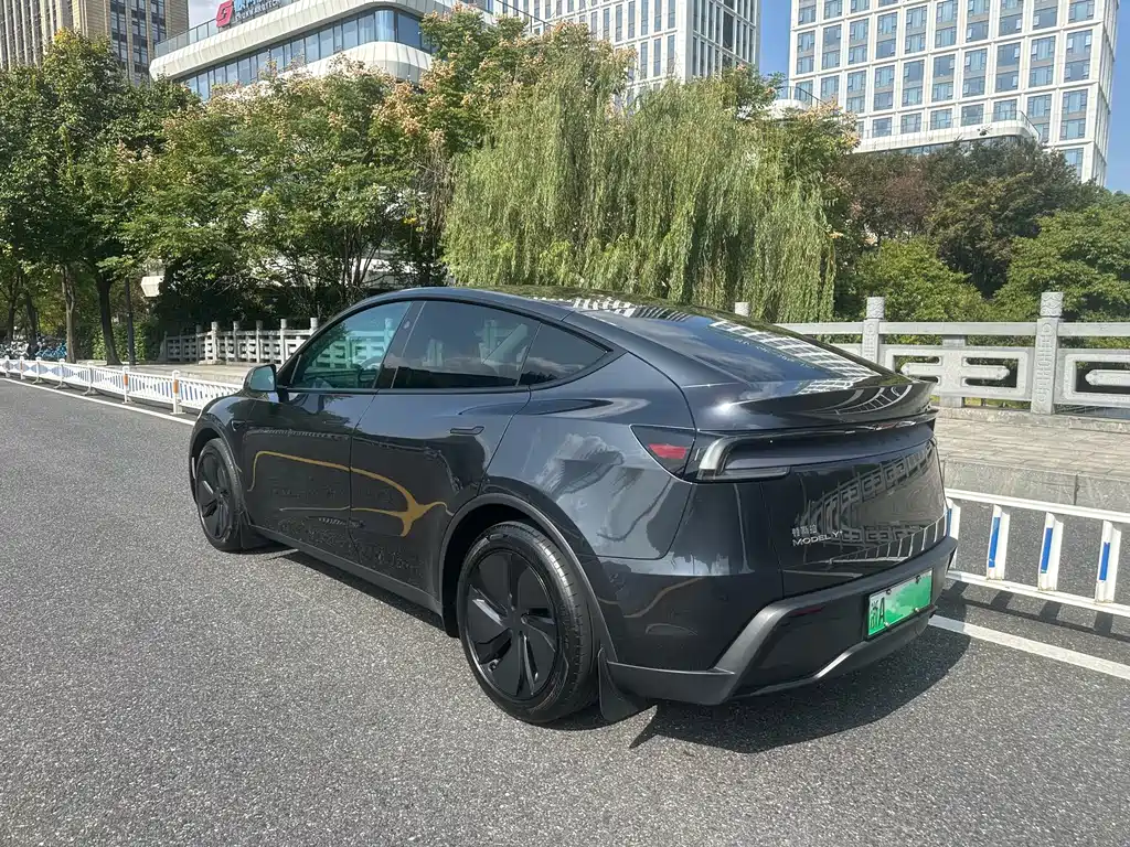 Tesla Model Y — миниатюра 3