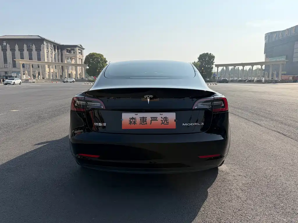 Tesla Model 3 — миниатюра 20