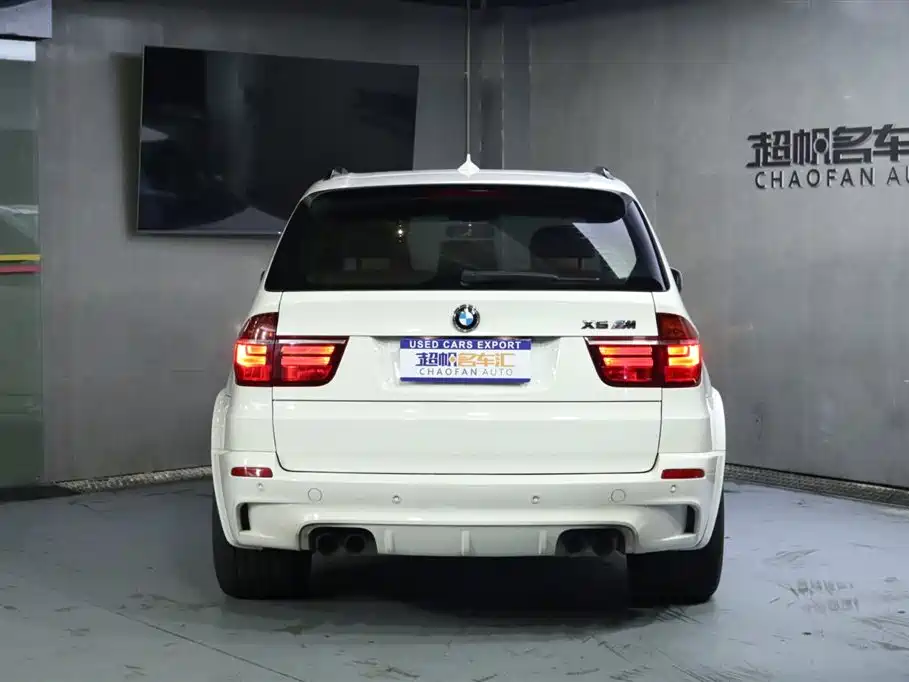 BMW X5 M 2010 X5 M