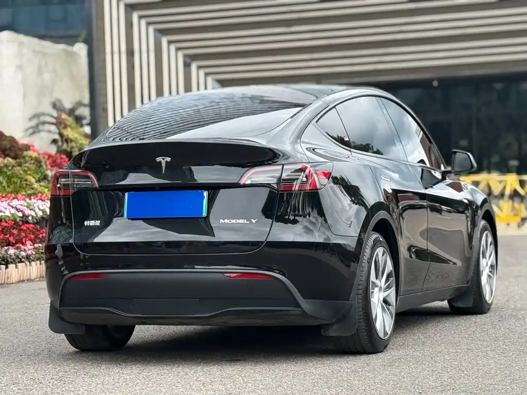 Tesla Model Y — миниатюра 8