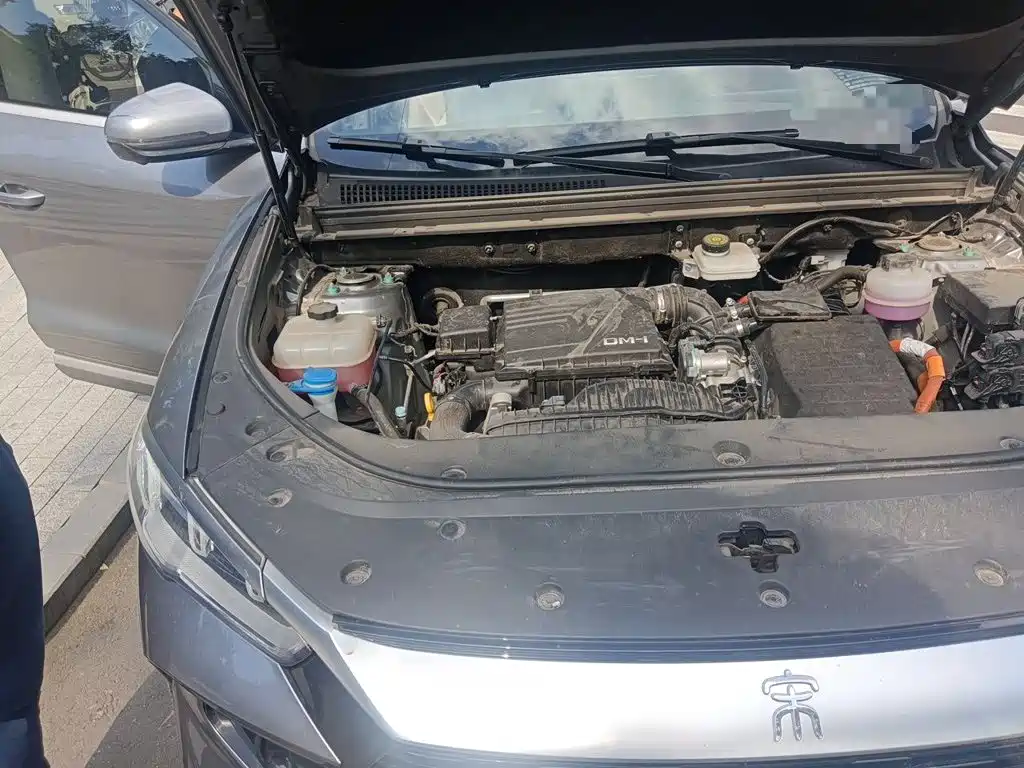 BYD Pro New Energy — миниатюра 20
