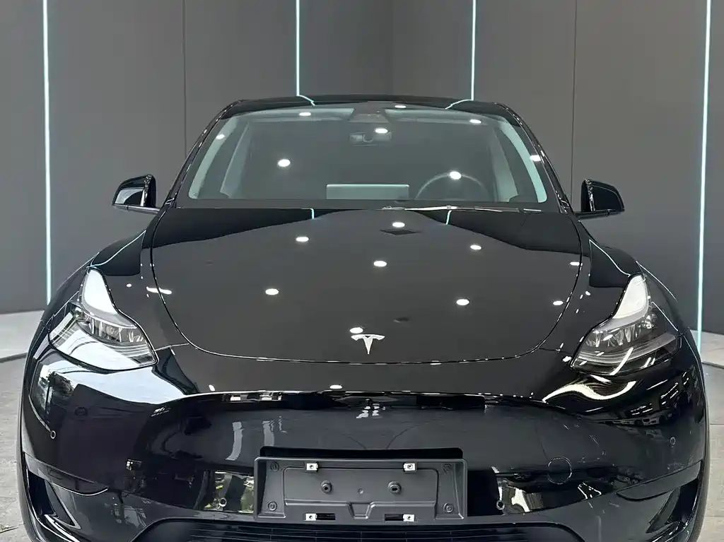 Tesla Model Y — миниатюра 2