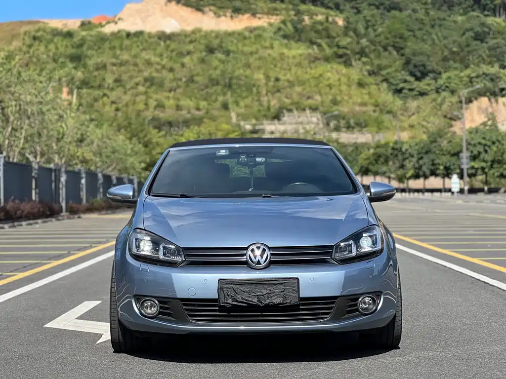 Volkswagen Golf (Import) — миниатюра 2