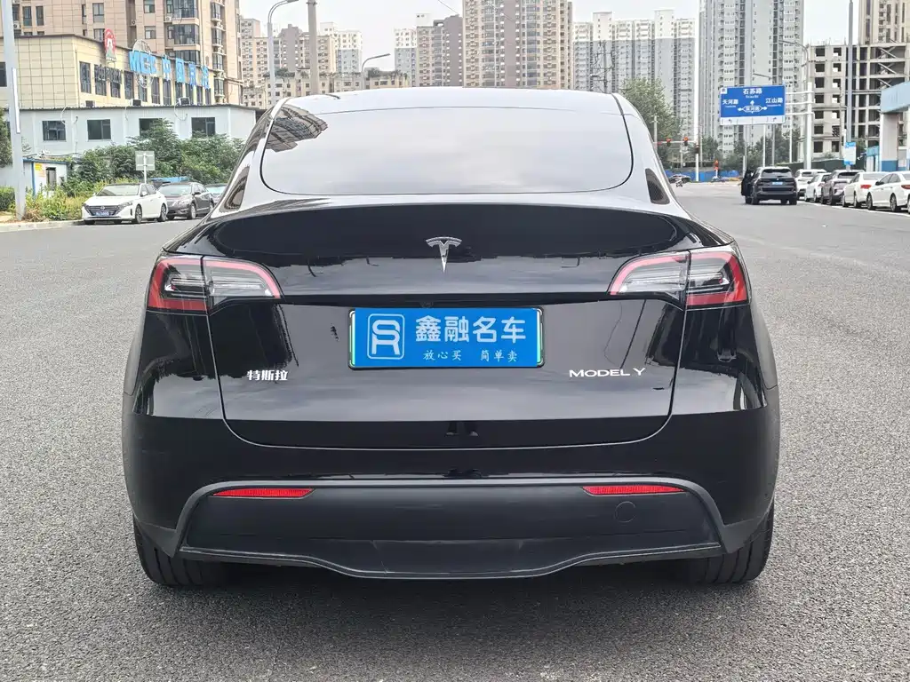 Tesla Model Y — миниатюра 27