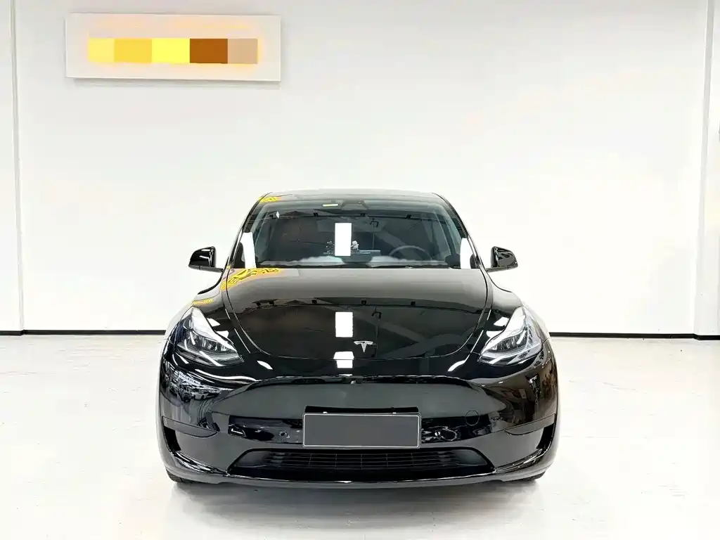 Tesla Model Y — миниатюра 2