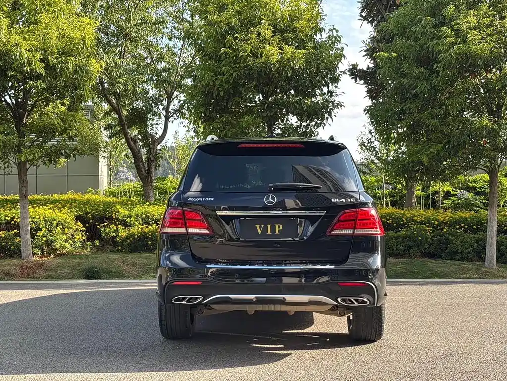 Mercedes-Benz GLE AMG — миниатюра 5