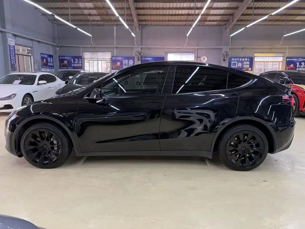 Tesla Model Y — миниатюра 7