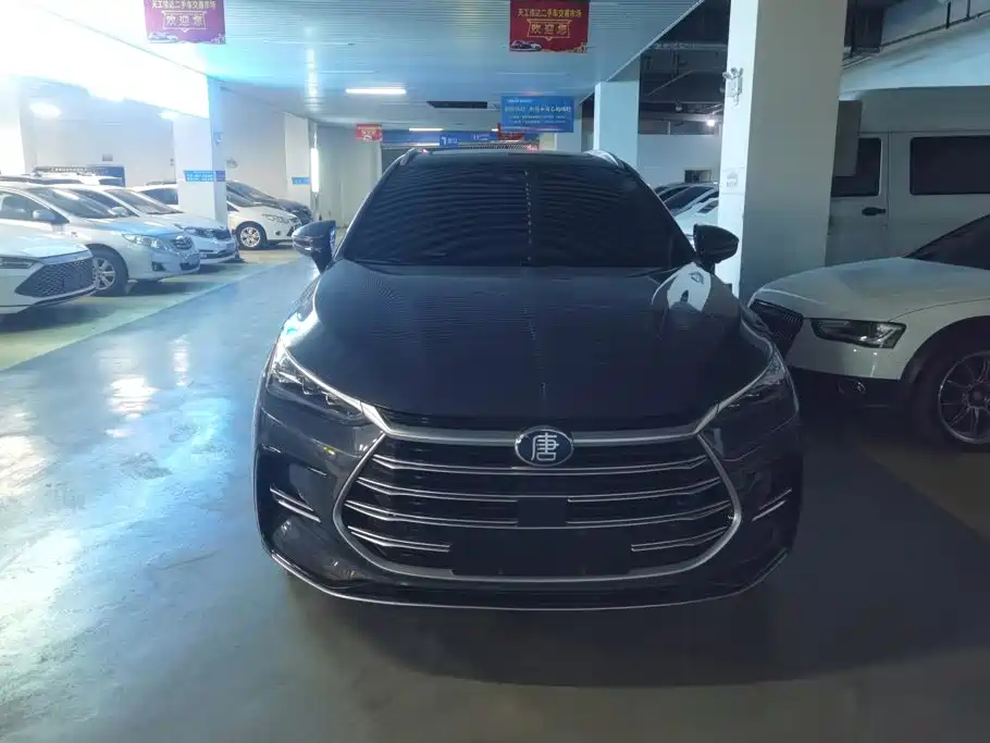 BYD Tang New Energy — миниатюра 2