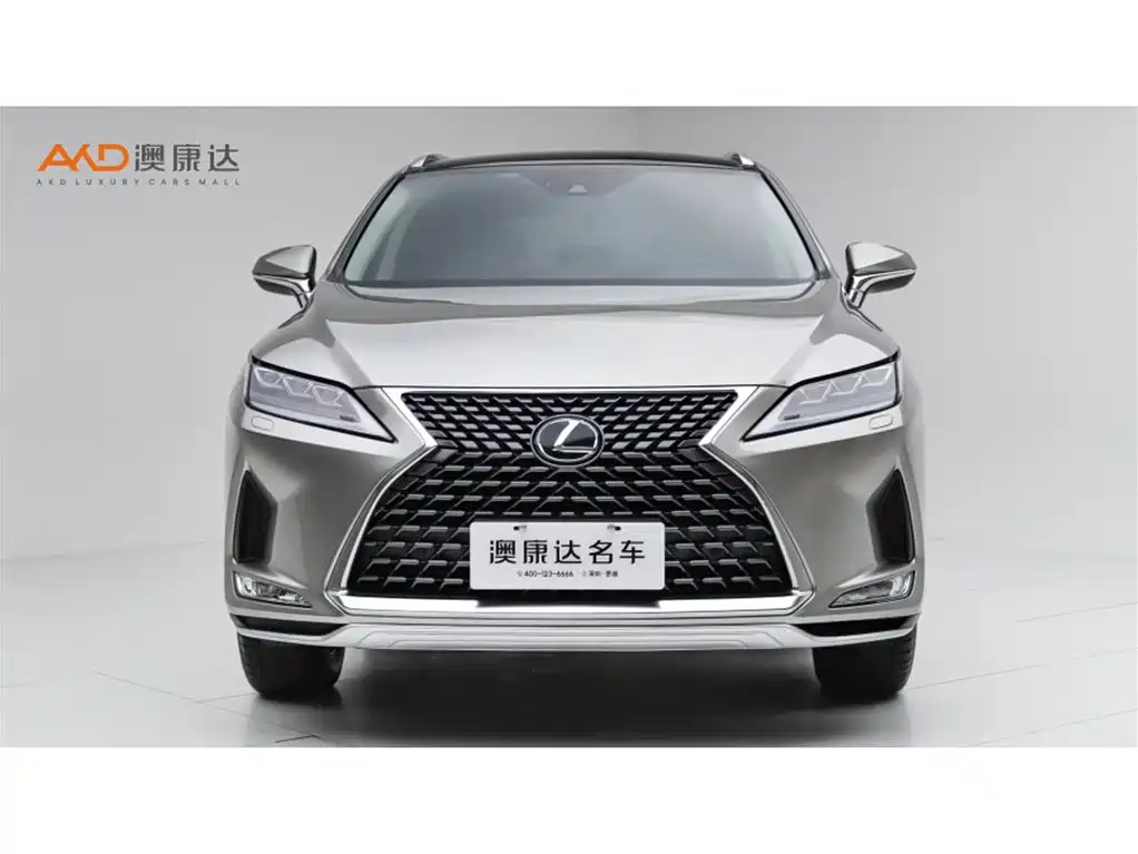 Lexus RX 2020 300 Elegant VI