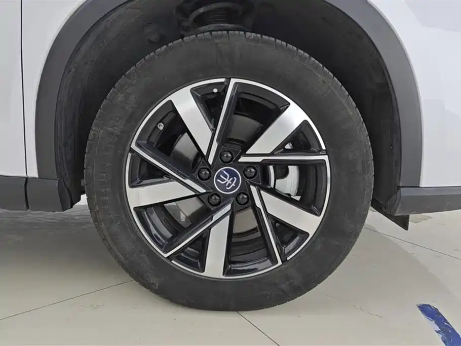 BYD SONGJIANG NEW ENERGY