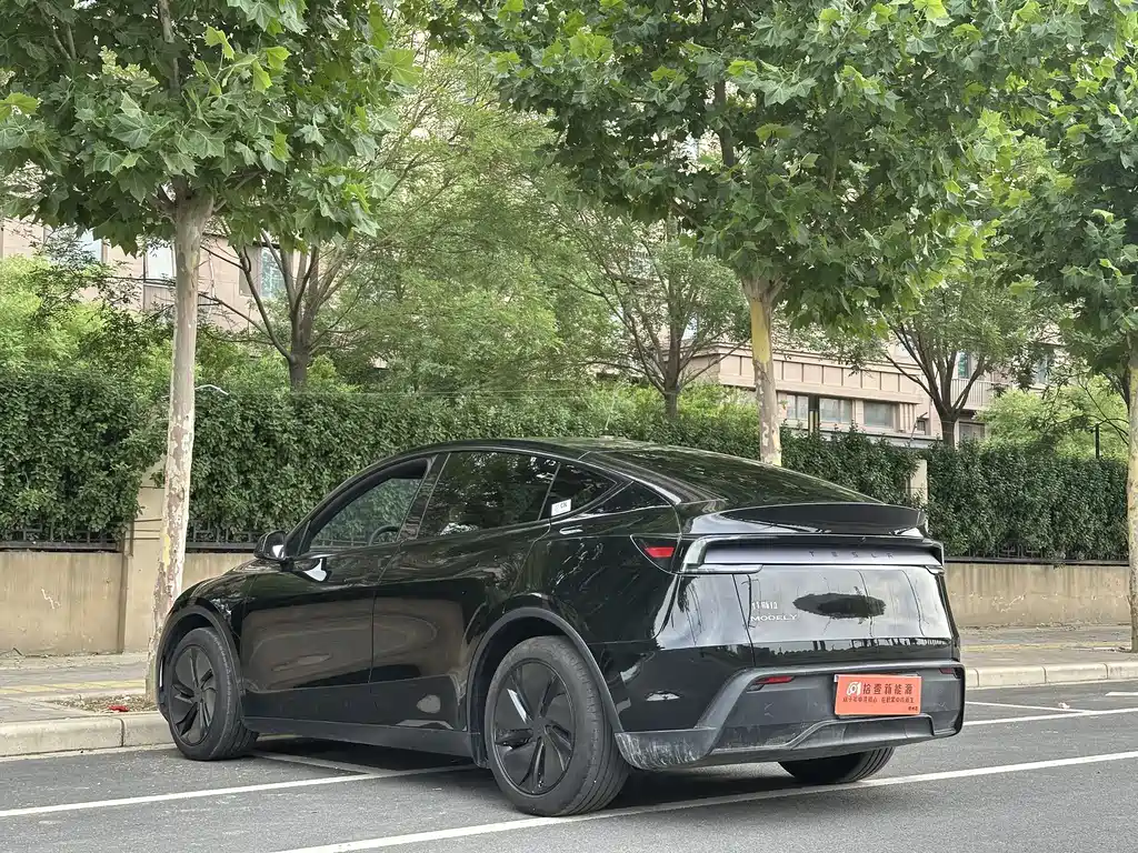 Tesla Model Y — фотографии объявления, Фото 12