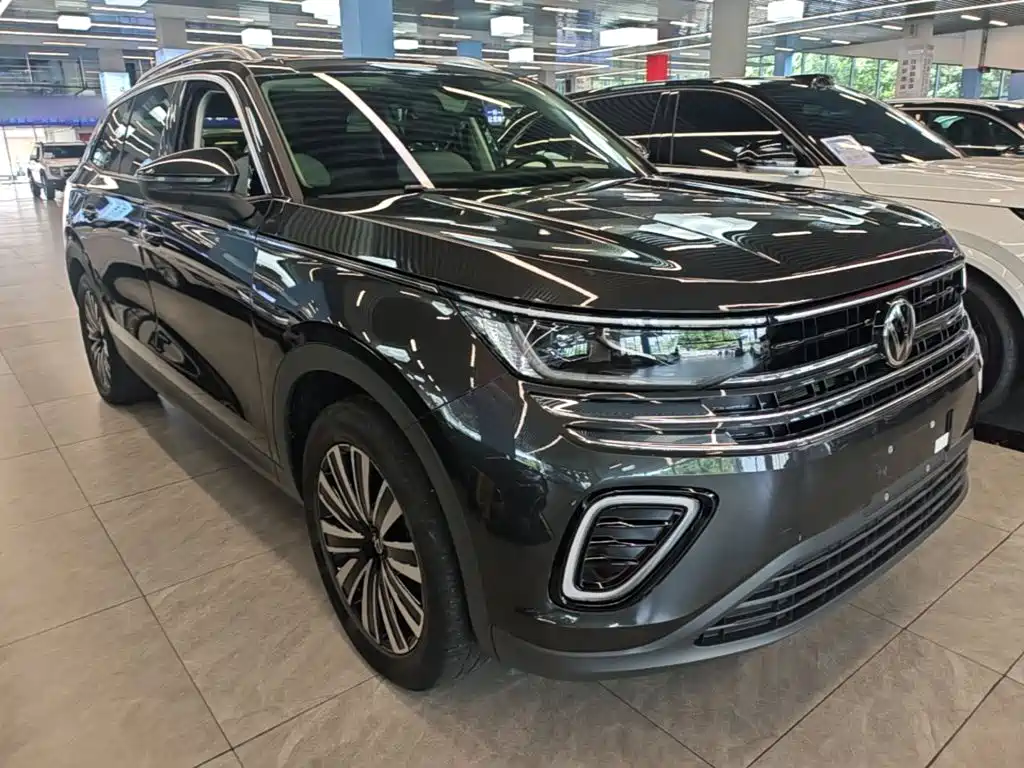 Volkswagen Tavendor — миниатюра 4