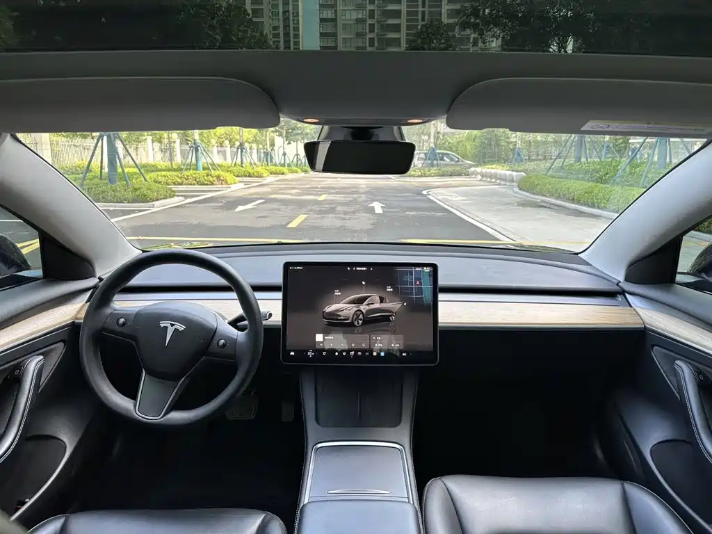 Tesla Model 3 — миниатюра 9