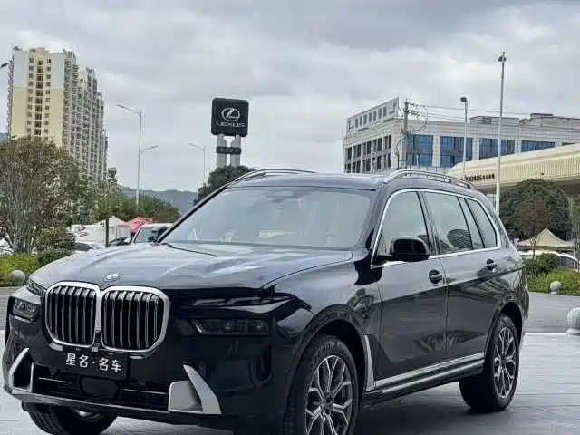 BMW X7 — миниатюра 9