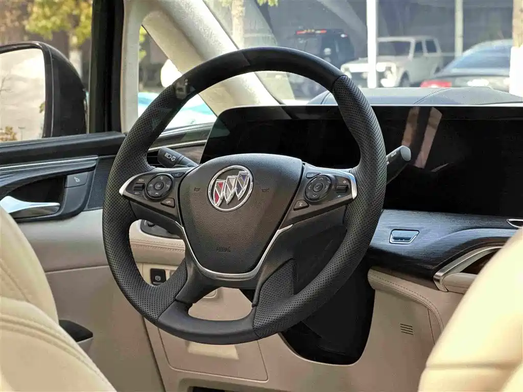 Buick GL8 — миниатюра 19