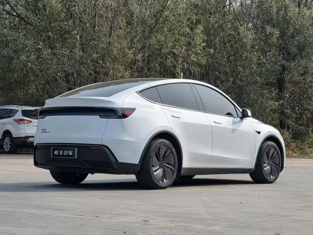 Tesla Model Y — миниатюра 5