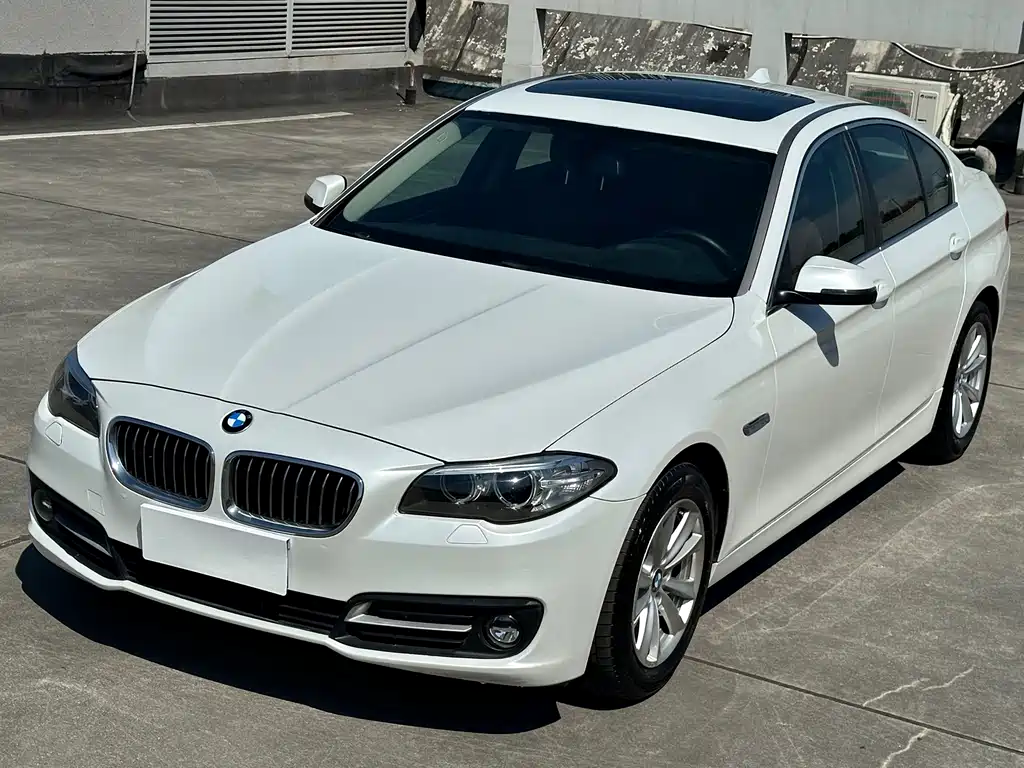 BMW 5 Series (Import) — миниатюра 6