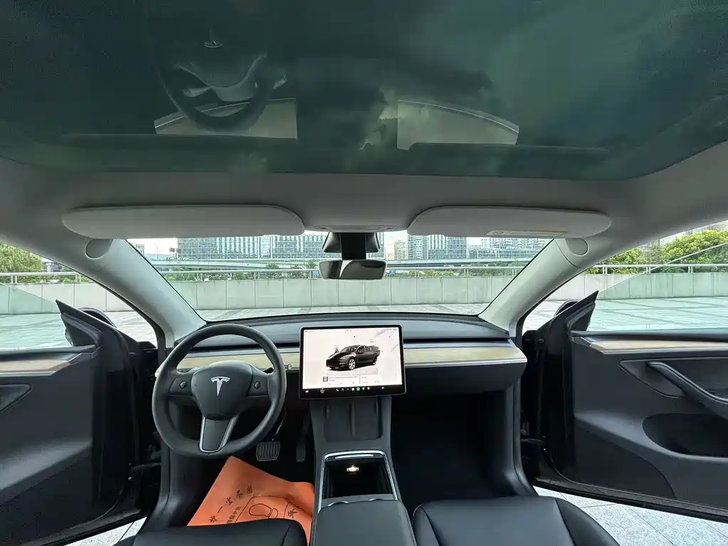 Tesla Model Y — миниатюра 12