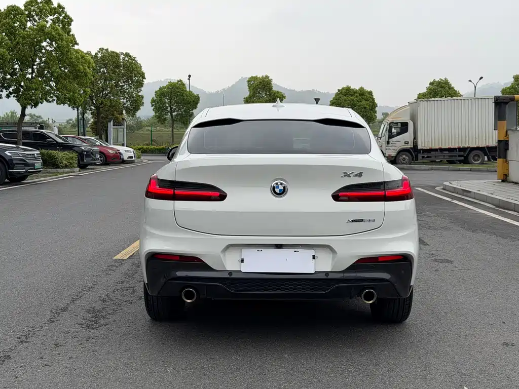 BMW X4 2020 xDrive25i M Sport