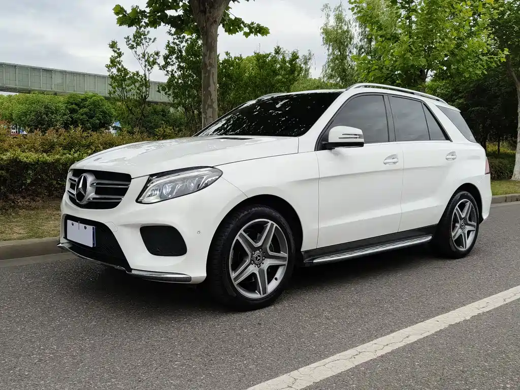 Mercedes-Benz 奔驰GLE(进口) 2019