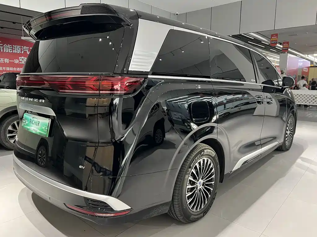 Denza Denza D9 — миниатюра 8