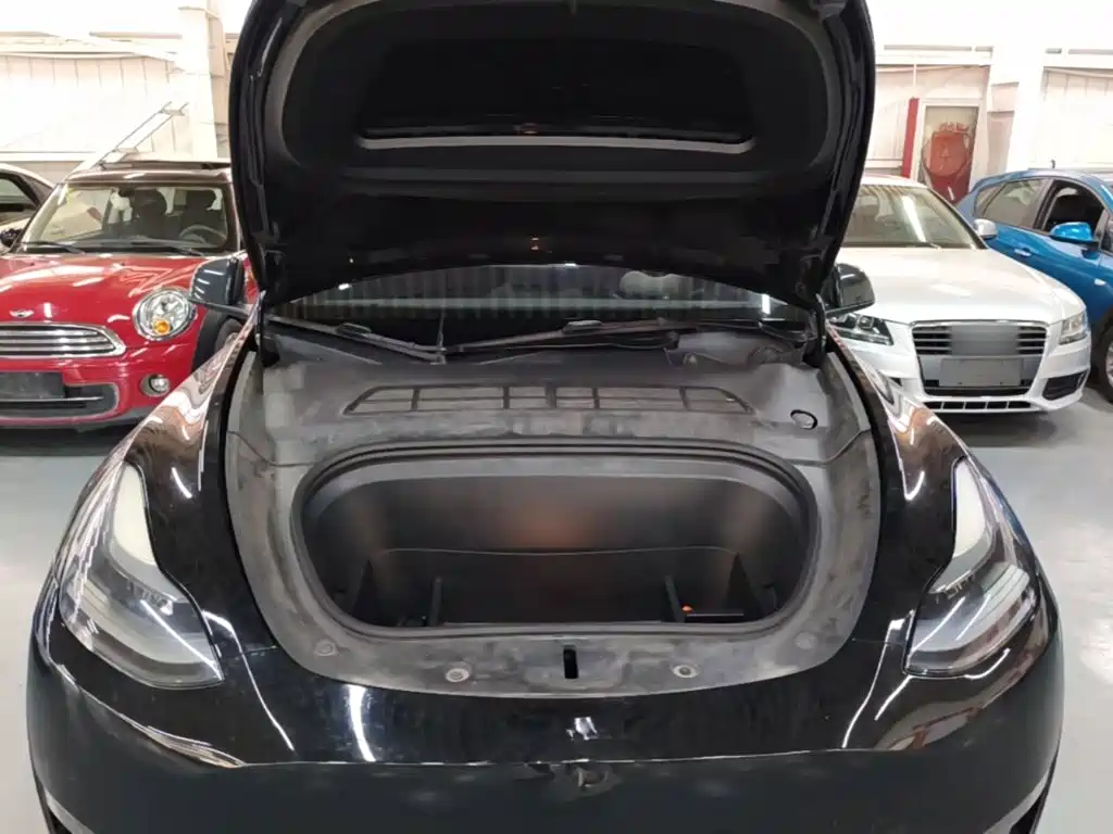 Tesla Model Y — миниатюра 20