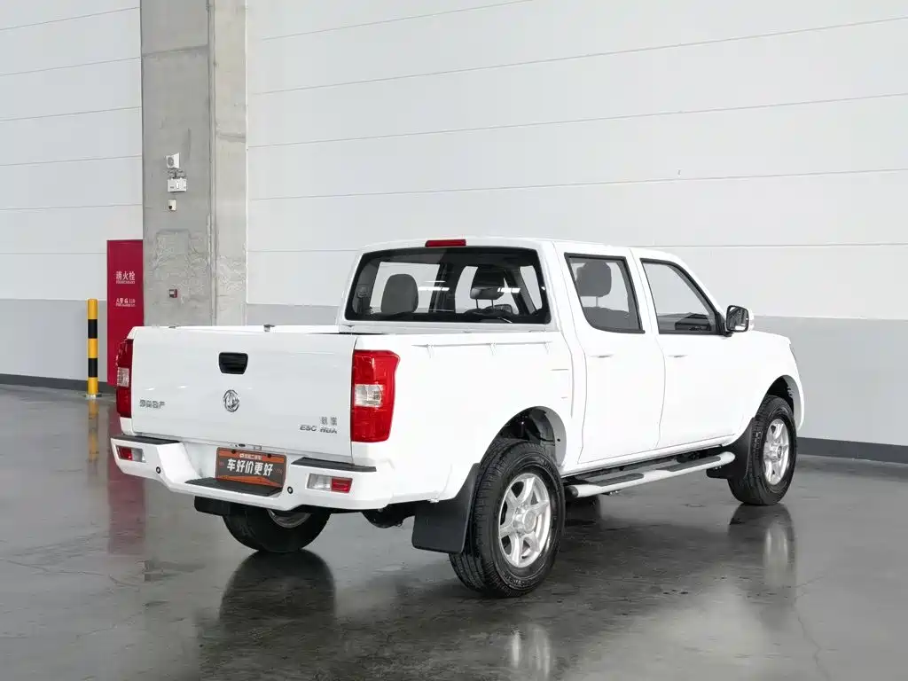 Dongfeng Rich — миниатюра 2