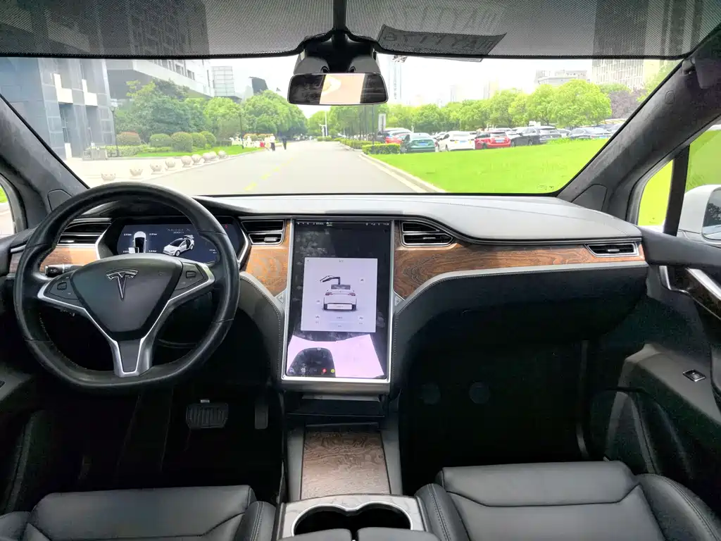 Tesla Model X 2017 Model X 100D