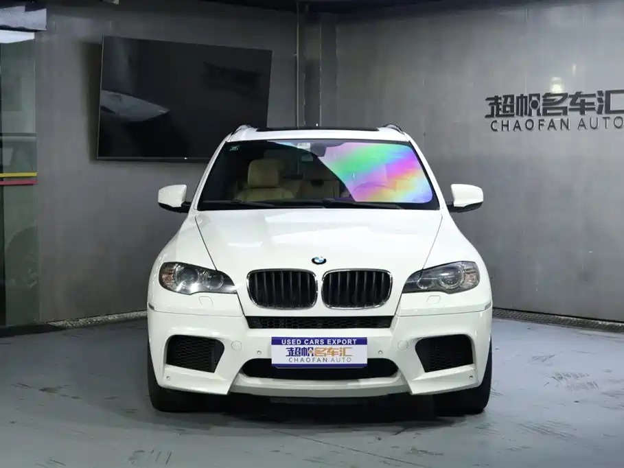 BMW X5 M 2010 X5 M