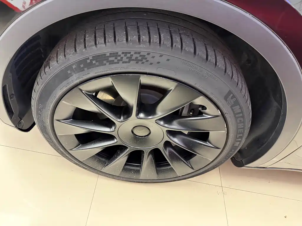 Tesla Model Y — миниатюра 4