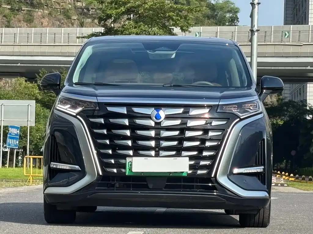 Denza Denza D9 — миниатюра 2