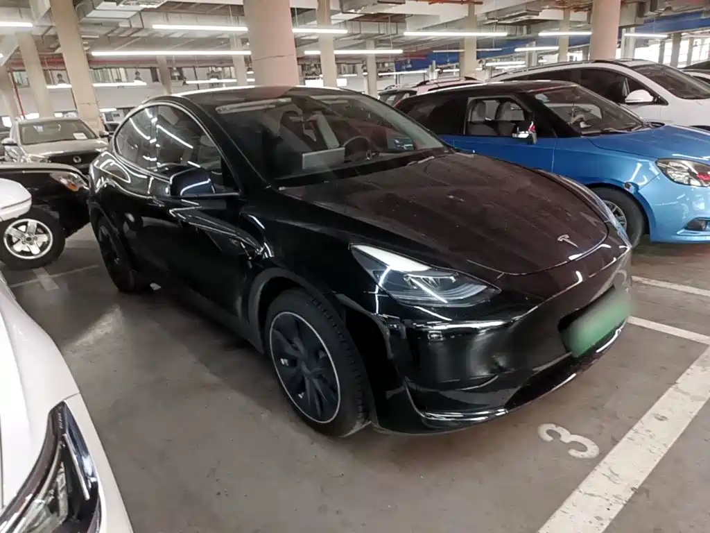 Tesla Model Y — миниатюра 4