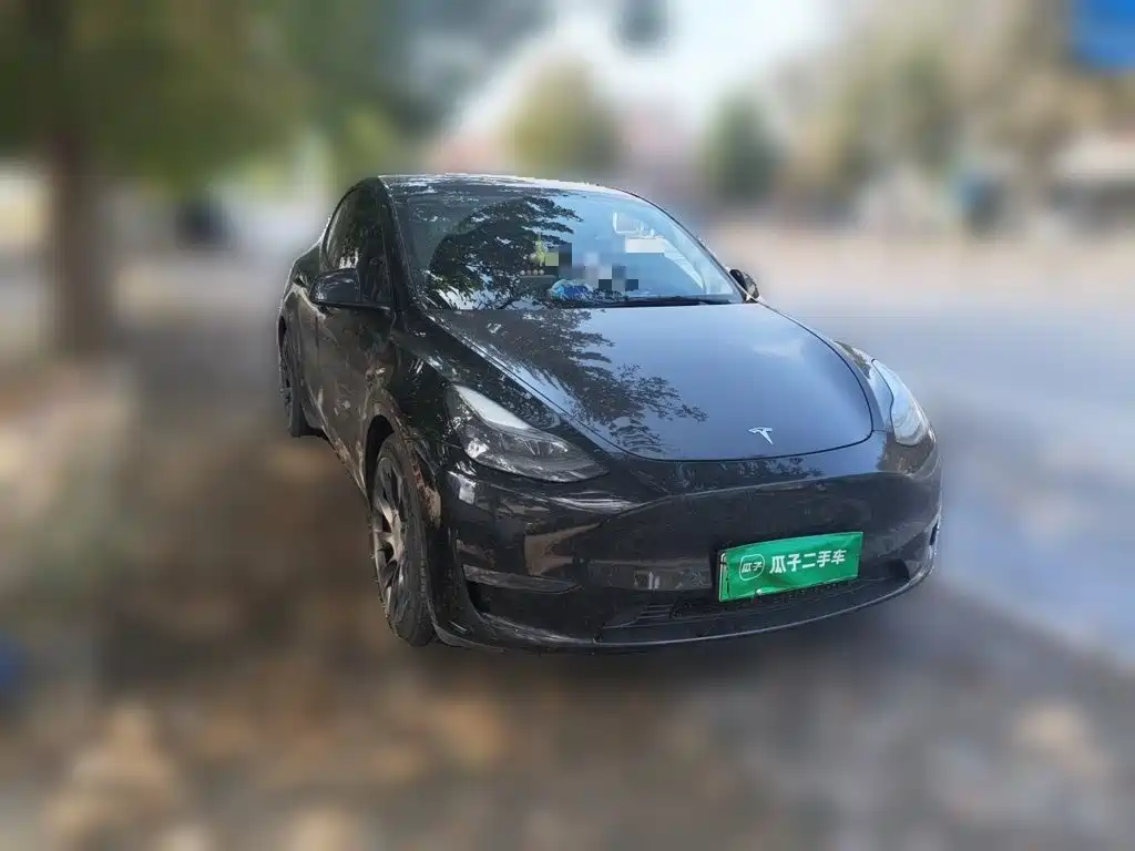Tesla Model Y — миниатюра 3