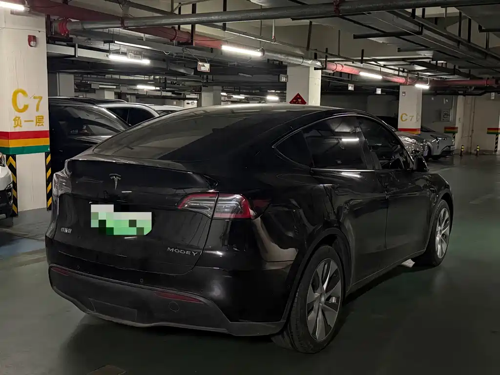 Tesla Model Y — миниатюра 5