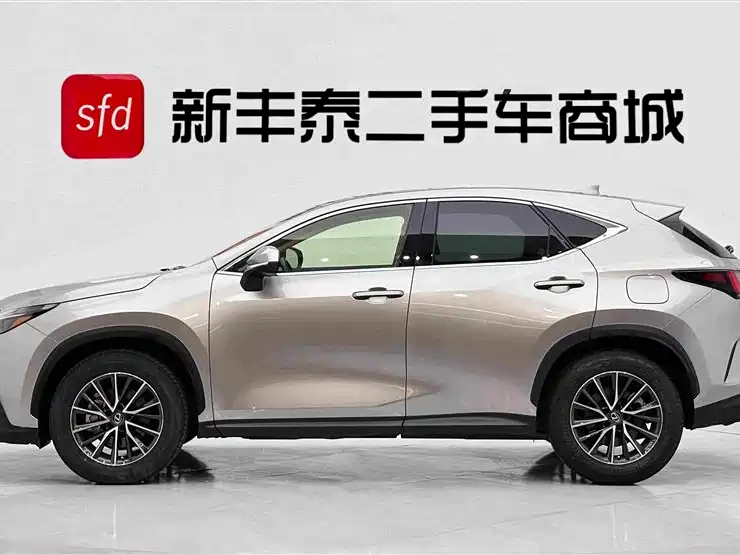 Lexus NX — миниатюра 4
