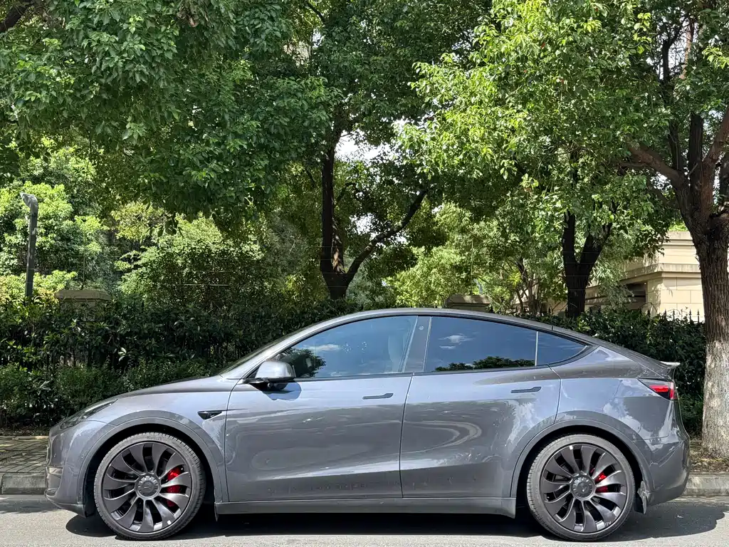 Tesla Model Y — миниатюра 3