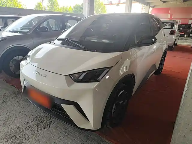 2024 BYD Seagull