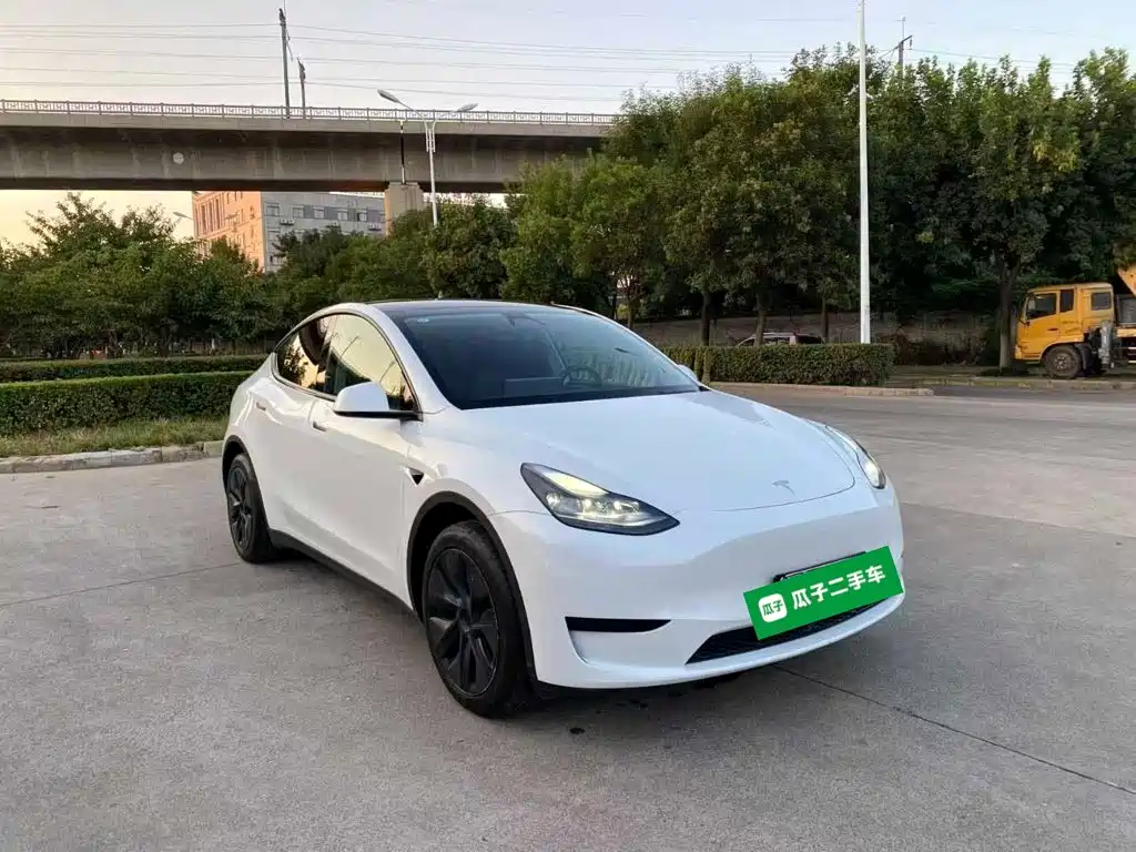 Tesla Model Y — миниатюра 4